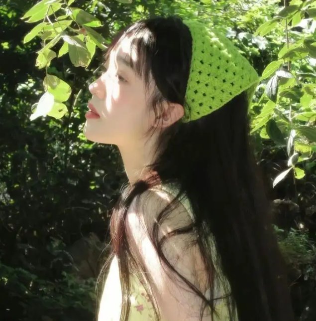 森林：随处可见